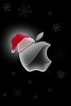 pic for Christmas Apple 